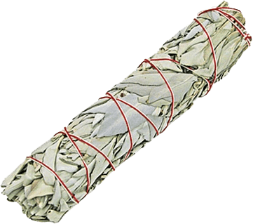 Sauge blanche de Californie