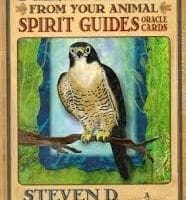 Messages from your Animal Spirit Guide