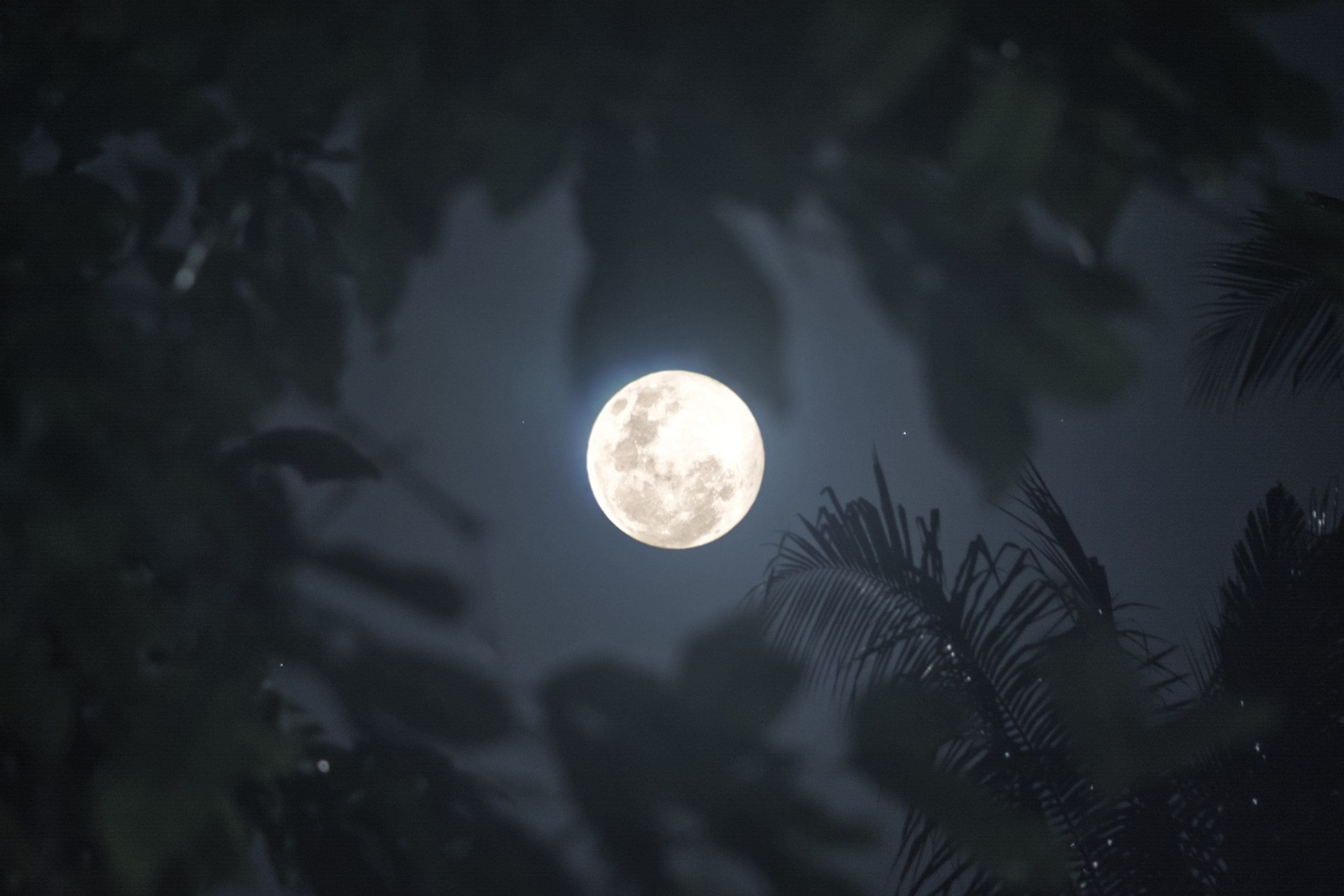 Zoom: Cérémonie Pleine Lune